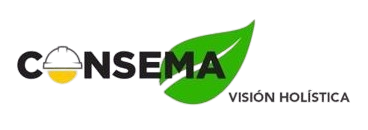 consema.com.pe